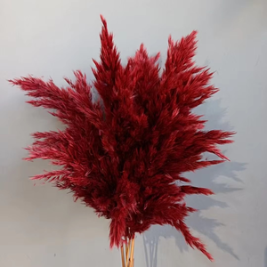 Graines de <span class=keywords><strong>pampa</strong></span> de qualité du Yunnan <span class=keywords><strong>Graine</strong></span> de <span class=keywords><strong>pampa</strong></span> décorative pour table d'intérieur et cadeaux Vente chaude 2025 <span class=keywords><strong>Graine</strong></span> de <span class=keywords><strong>pampa</strong></span> à bas prix OEM - Product Image 5