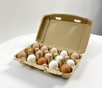 Boîte à œufs en pulpe moulée écologique à 15 alvéoles, lot de 15, en bagasse de canne à sucre blanche, pour supermarché