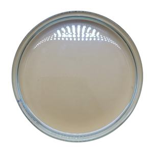 Fabrika doğrudan satış yüksek kalite 99% Methyl dihidrojasmonate destek özelleştirme - Product Image 2