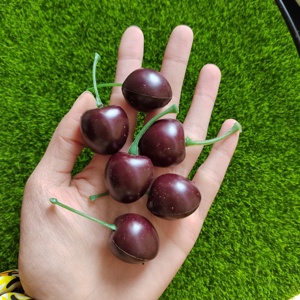 ผลไม้จำลองสีแดงเข้ม 3 มิติ เชอร์รี่ขนาดเล็ก สำหรับตกแต่งคัพเค้ก มัฟฟิน ของตกแต่งผลไม้ พร็อพถ่ายรูป บ้านตุ๊กตา - Product Image 5