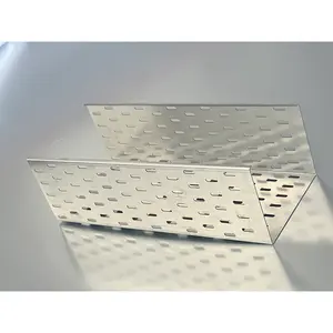 Factory Made Customized Powder Coated Perforated Galvanized Stainless Steel Trunking Cable Tray