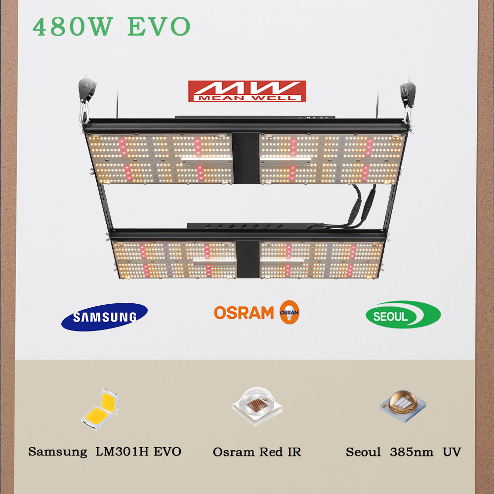 EVO 480W Samsung LM301H Grow Lamp - Full Spectrum Lighting