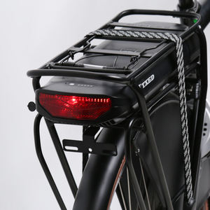 Bicicleta Eléctrica Holandesa Retro de Alta Calidad para Hombre y Mujer, 3 Velocidades, Motor de 36V 250W, Estilo Amsesterdám, Bicicleta Urbana Holandesa Retro para Mujer - Product Image 4