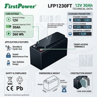 Batterie au gel sans entretien FirstPower LFP1230FT 12V haute performance, capacité 360Wh, alimentation de secours pour