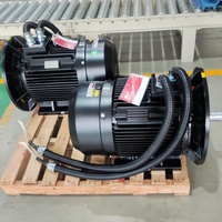 Motor Eléctrico de Frecuencia Variable de 30 kW con Inversor de Accionamiento Lateral y Eje de Repuesto - Precios
