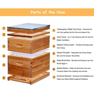 Nuevo Kit Completo de Caja de Colmena Langstroth con Marcos Recubiertos de Cera de Abeja 100% y Lámina de Base de Madera - Product Image 6