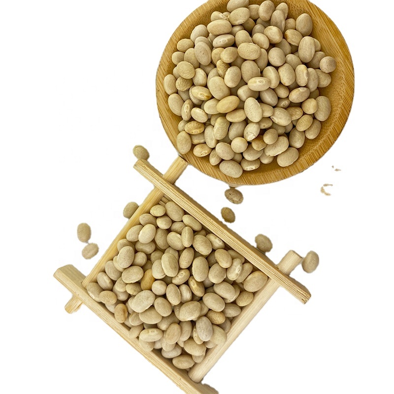 фасоль белая. Navy (haricot) beans. морские бобы. семена похожие на белые бобы. морская фасоль фото.