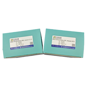 Phân ly mô cho nghiên cứu ISO 9001 ba3305 Bộ phân ly não, chuột (10 bài kiểm tra) - Product Image 6