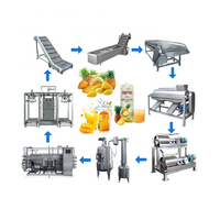 Fruit Pulp Sap Concentraat Drank Making Machine Mango En Ananas Drankjes Verwerking Productielijn