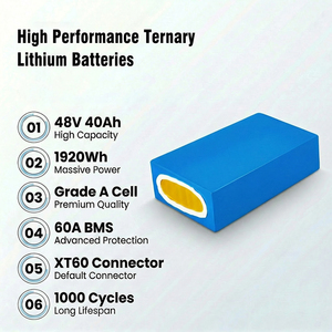 بطارية ليثيوم ألمانية الصنع 48 فولت 40 أمبير ساعة، خلايا منشورية الشكل 13s1p 40 أمبير ساعة من الدرجة أ مع نظام إدارة البطارية 60 أمبير وقابس XT60 4 أمبير - Product Image 2