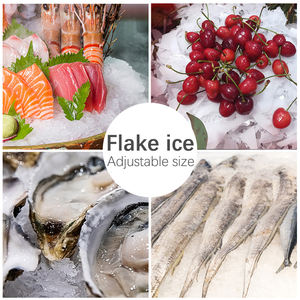 Máquina de hielo inteligente para hacer copos de nieve, 200kg/24h, comercial, para el hogar, novedad, gran oferta - Product Image 4