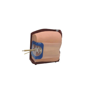 Maniquí de Silicona y PVC para Prácticas Médicas, Modelo de Punción Espinal para Simulación de Procedimientos Lumbar Epidurales y de Médula Ósea, con Certificación CE/ISO - Product Image 4
