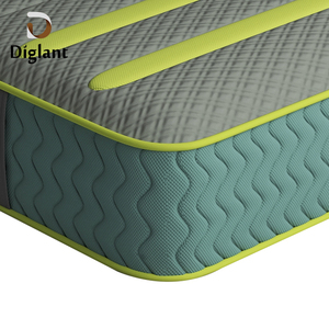 D63 diglant Bộ nhớ Gel Nhà Kinh Tế Thương hiệu chất lượng cao Denmark Giường làm mát bọt ngủ khu vực đôi kích thước mùa xuân nệm - Product Image 4