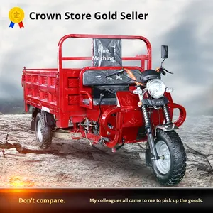 Véhicule domestique à trois roues à assistance électrique sous licence Moteur de déchargement de carburant à essence refroidi à l'eau Tricycles motorisés plats - Product Image 4