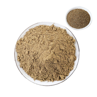 Voedingsmiddelengekeurd kruidenextract Kochia Scoparia (Kochiae) bezwier-cipresvruchtenpoeder