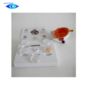 Modelo de ojo humano de catarraco para ciencia médica, modelo de ojo anatómica - Product Image 4