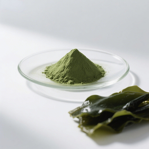 Supply Pure Food Grade 99% Fresh Dehydrated <strong>Kelp</strong> <strong>Powder</strong> <strong>Kelp</strong> Extract <strong>Powder</strong> - Product Image 3