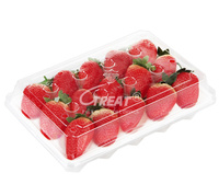 Vassoio Ecologico Trasparente in PET per Fragole |   Scatola per Imballaggio Frutta a 15 Scomparti Ventilata con Coperchio a Cerniera |   Contenitore in Plastica per Alimenti