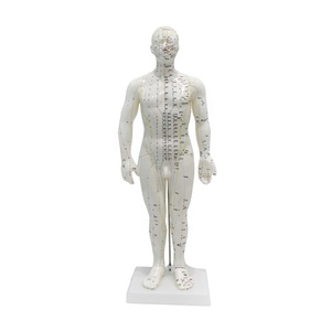 Modèle d'<span class=keywords><strong>acupuncture</strong></span> masculin en PVC souple 50 cm, 409 points étiquetés avec support pour laboratoire de compétences infirmières CE ISO ROHS CNAS SGS - Product Image 6