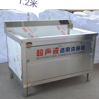 Automatische Vortex Fruit- en Groentewasmachine voor Centrale Keukenverwerking