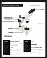 High Stability Electron Microscope 4 K Camera Resolution Rated Excellent Vibration Resistance Precision Manual