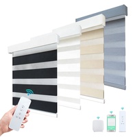 Stores zébrés rechargeables intelligents d'usine Google/Tuya APP Télécommande directe stores zébrés motorisés pour fenêtres