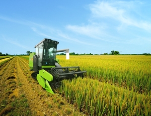 Mietitrebbia Idraulica TE100 per Grano con Alimentazione Completa, Peso 7230kg e Potenza 190cv, con Diametro del Grano di - Product Image 5