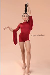 Boutique de scène de haute qualité Ballet lyrique <span class=keywords><strong>danse</strong></span> <span class=keywords><strong>justaucorps</strong></span> Performance porter scène vêtements de <span class=keywords><strong>danse</strong></span> - Product Image 3