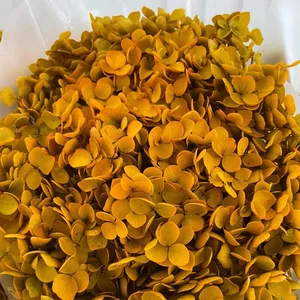 2022 premium preservo hortência secas arranjo de flores haste longa para buquetes de outono