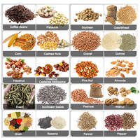 Machine à torréfier les noix et les graines (30-500 kg/lot) : châtaignes, noix de cajou, grains de café, arachides, amandes, fèves de cacao