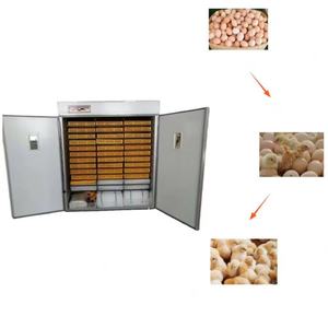 Incubateur d'œufs de poulet 5280, machine d'incubation d'œufs, incubateur de <span class=keywords><strong>faisan</strong></span>, machine d'éclosion automatique d'œufs - Product Image 1