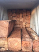 Panneaux en bois de chêne clair de bonne qualité, 1000 pièces, bois brut africain, gabions, doysie, tali, okyloba