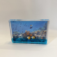 Cadre photo liquide en acrylique 4*6 pouces, figurine personnalisée en plastique, thème voiture sur câble bleu, ornement de bureau pour aquarium océanarium, souvenirs