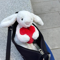 Jellcatt UK Wit pluche konijntje met hangende oren, rood hartje vasthoudend, schattig knuffeldier, Valentijnsdag romantisch cadeau