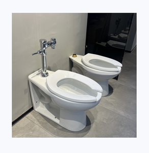 Kháng khuẩn gắn trên sàn nhà vệ sinh, S-trap, ADA kéo dài bát, một mảnh cho công cộng & Bệnh viện sử dụng - Product Image 1