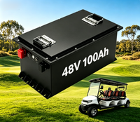 Pengisian Cepat 2-3 Jam 48V 100Ah 51.2V 105Ah Baterai LiFePO4 untuk Shuttle Resort, Minitimasi Waktu Mati Sistem, Aplikasi Bluetooth, Musim Panas Australia