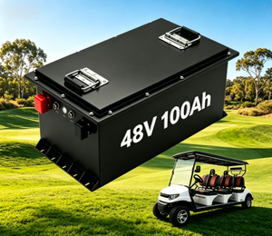 Pengisian Cepat 2-3 Jam 48V 100Ah 51.2V 105Ah Baterai LiFePO4 untuk Shuttle Resort, Minitimasi Waktu Mati Sistem, Aplikasi Bluetooth, Musim Panas Australia - Product Image 1