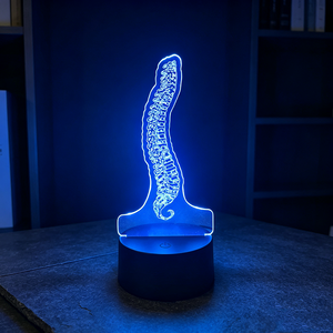<strong>Change</strong> Color Decorative Night Light LED <strong>Table</strong> Lamp Pattern LED Night Light 3D Lamps Body Parts Lights Room Lamp Decoration - Product Image 5