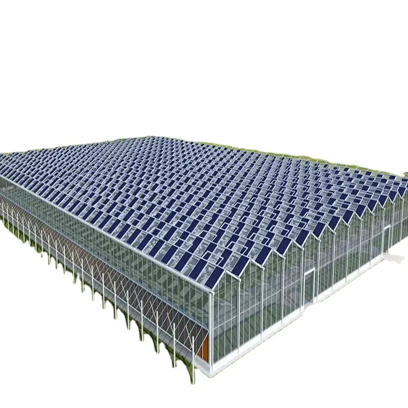Invernadero Solar fotovoltaico a la venta