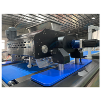 Machine à enrober les biscuits automatique Skywin 250 kg/h, machine à fabriquer des biscuits blancs
