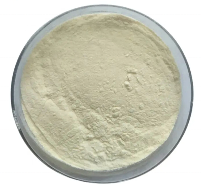 Best Quality China Manufacturer Sucrase Enzyme