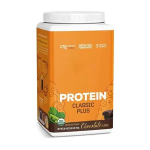 Eigenmarke Schokoladengeruch vegan bio pflanzenbasiertes Proteinpulver für Sport Energieunterstützung Muskellaufbau