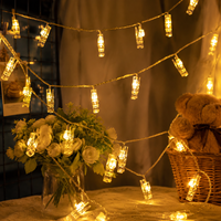 Lampe murale LED transparente à clipser, alimentée par piles, pour photos, billets, cartes, décoration de chambre et de maison, idéale pour les anniversaires