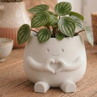 Pot de fleurs en PLA imprimé en 3D en forme de cœur, transfrontalier, mignon, pour plantes succulentes, décoration de bureau moderne et artistique