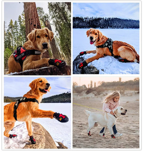 Protège-pattes pour chien en gros, bottes de neige imperméables pour chien avec lacets, bandes réfléchissantes, semelle robuste antidérapante - Product Image 2