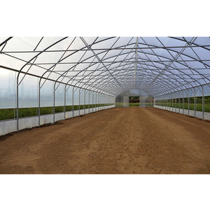 Precio de fábrica Marco de acero galvanizado en caliente Hoja de plástico Invernadero de un solo tramo Invernadero de túnel para vegetales agrícolas - Product Image 2