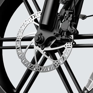 Bici Elettrica Ibrida con Telaio in Acciaio al Carbonio 250W 48V 15Ah Freno a Disco E-bike da Città con Due Posti e Pneumatici Larghi - Magazzino UE - Product Image 3