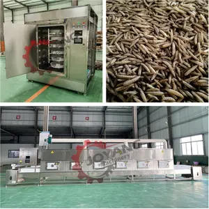 Uso agricolo Tenebrio Molitor essiccazione vermi della farina vermi BSF soldato nero mosca Larva essiccatore a microonde
