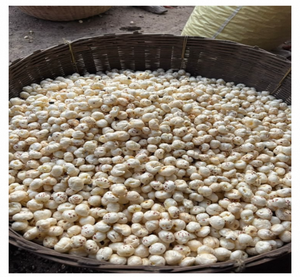 Makhana Orgánica Premium (Nueces de Zorro) – Superalimento Tostado Sin Gluten de Primera Calidad, Bocadillo Saludable y Crujiente - Product Image 3