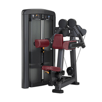 Meilleur prix – Équipement de fitness commercial en acier – Machine multifonctionnelle de musculation pour levée latérale et épaules Liva